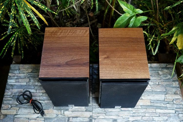ลำโพงบลูทูธ DALI ZENCER 1AX  5 ดาว What HIFi  รูปที่ 3