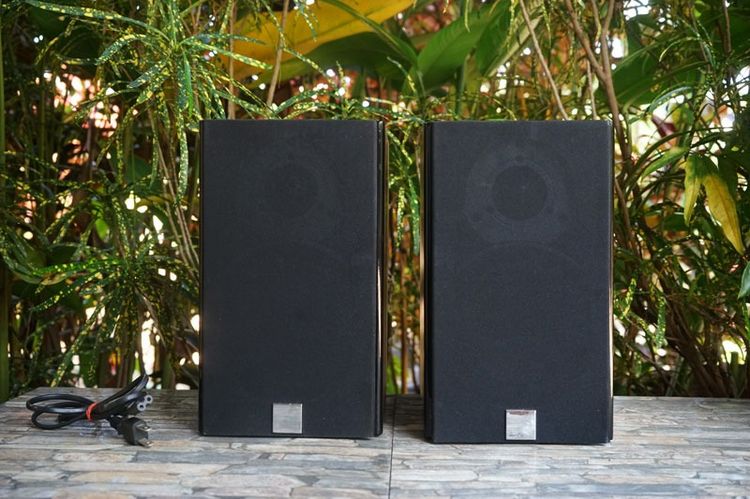 ลำโพงบลูทูธ DALI ZENCER 1AX  5 ดาว What HIFi  รูปที่ 2