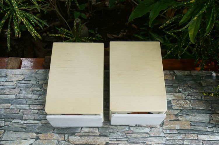 ลำโพง JVC-SP-EXS1-M กรวยไม้  รูปที่ 3