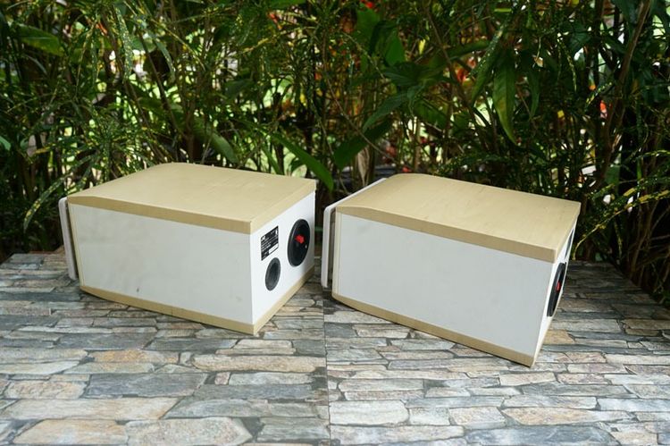 ลำโพง JVC-SP-EXS1-M กรวยไม้  รูปที่ 5