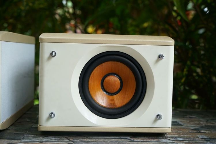 ลำโพง JVC-SP-EXS1-M กรวยไม้  รูปที่ 8
