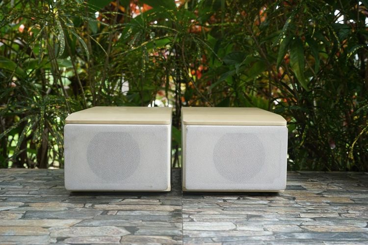 ลำโพง JVC-SP-EXS1-M กรวยไม้  รูปที่ 2