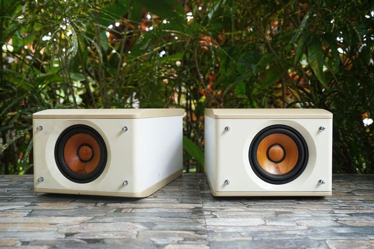 ชุดโฮมเธียเตอร์ ลำโพงแยกชิ้น และซับวูฟเฟอร์ ลำโพง JVC-SP-EXS1-M กรวยไม้ 