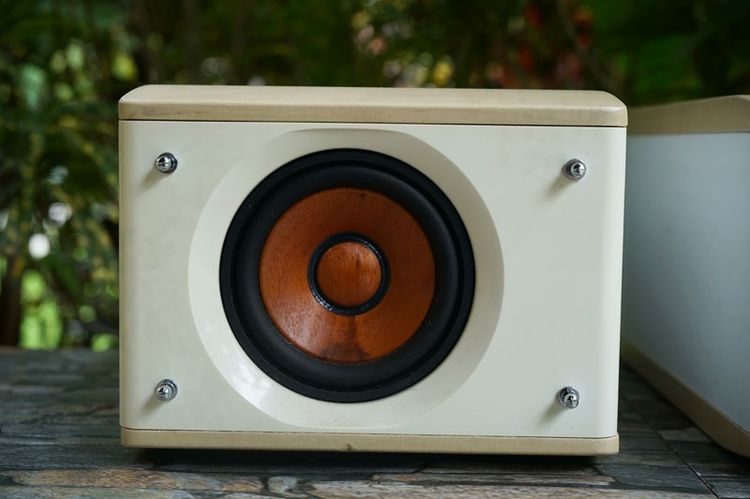 ลำโพง JVC-SP-EXS1-M กรวยไม้  รูปที่ 7