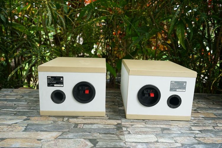 ลำโพง JVC-SP-EXS1-M กรวยไม้  รูปที่ 9