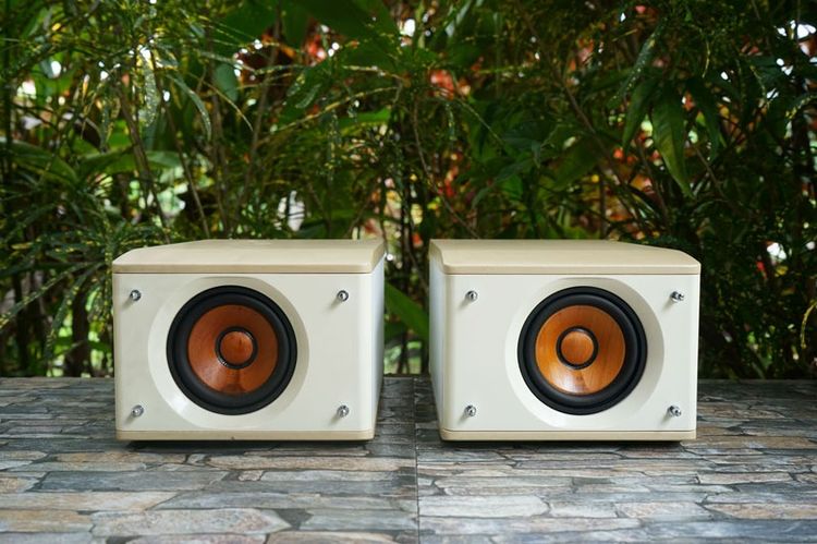 ลำโพง JVC-SP-EXS1-M กรวยไม้  รูปที่ 6