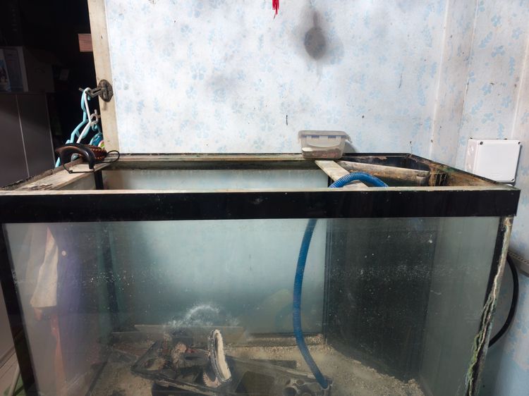 ตู้ปลา อะครีลิค 36นิ้ว รูปที่ 3