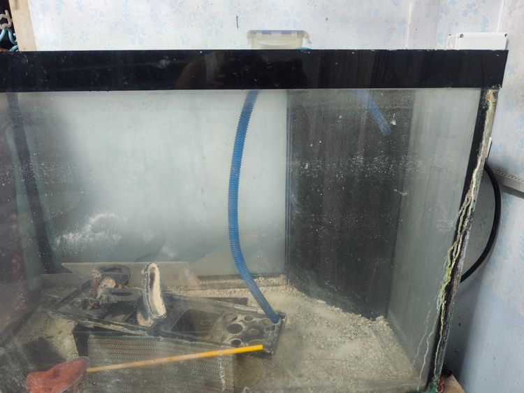 ตู้ปลา อะครีลิค 36นิ้ว รูปที่ 4