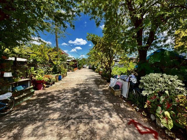 ขายที่ดิน ซอยสุขสวัสดิ์ 78 บัญชา5  ผังสีม่วง รูปที่ 2