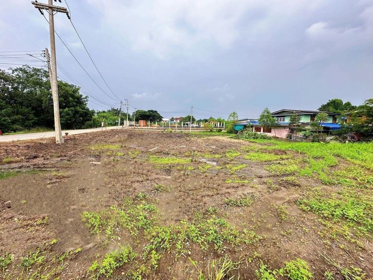 ใช่ ขายที่ดิน267ตรว.ที่ดินสวยติด3ถนนติดคลองเจ้าพระยา