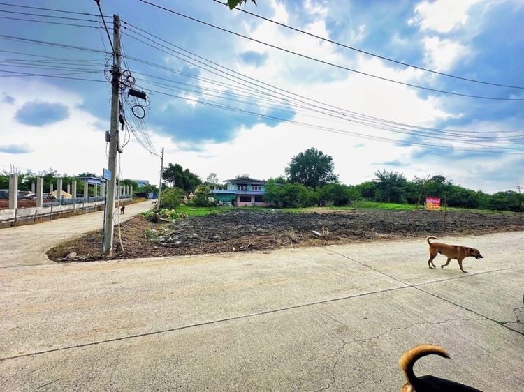 ใช่ ขายที่ดิน267ตรว.ที่ดินสวยติด3ถนนติดคลองเจ้าพระยา รูปที่ 3