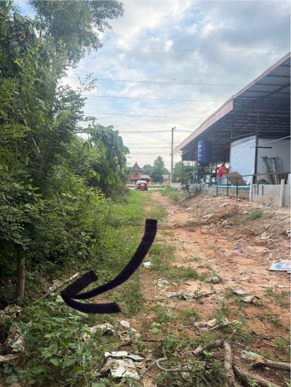 ที่ดิน
