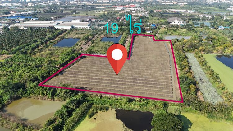 ที่ดินแคราย บ้านแพ้ว รถ10ล้อเข้าถึง ราคาถูก  สจ4 ครุฑแดง รูปที่ 2