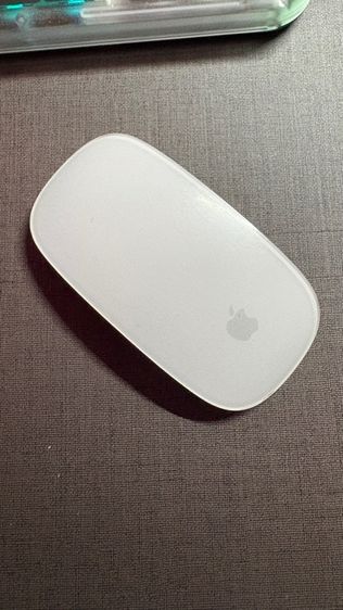 apple magic mouse 