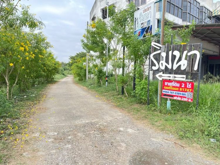 ที่ดินตัวอำเภอปักธงชัย รูปที่ 4