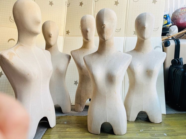 หุ่นโชว์ รูปที่ 2