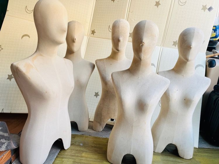 หุ่นโชว์ รูปที่ 3