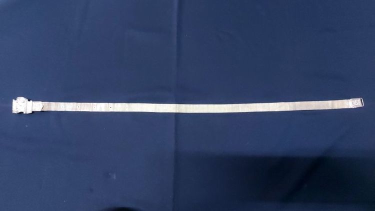 197เข็มขัดเซี่ยงไฮ้, เข็มขัดเงินเซี่ยงไฮ้ รูปที่ 2