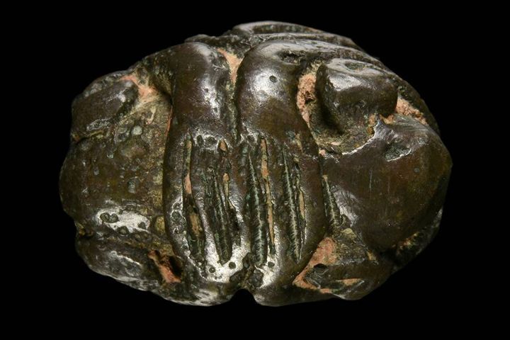 ปิดตา หลวงปู่เอี่ยม วัดหนัง รูปที่ 5