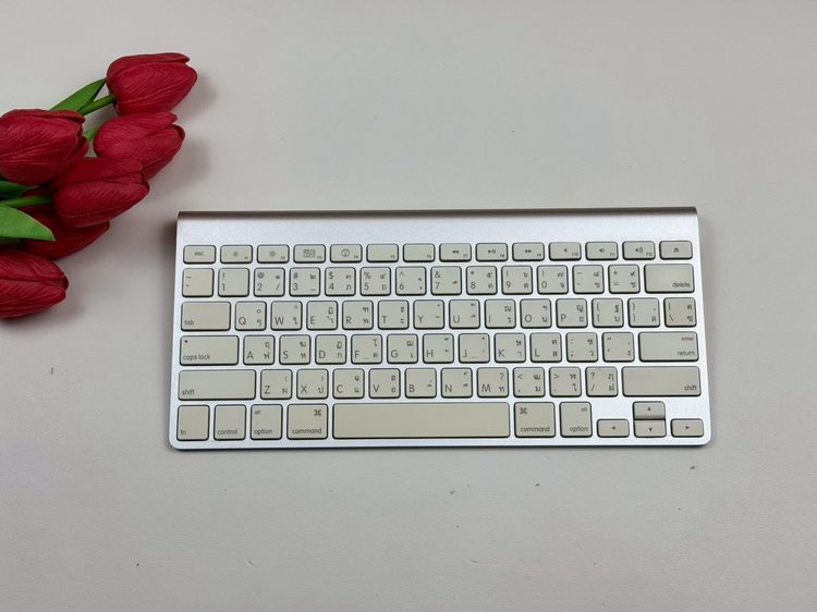 เม้าส์ และคีย์บอร์ด Apple Magic Keyboard (ใส่ถ่าน)