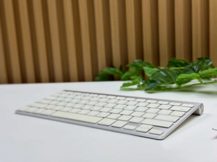 Apple Magic Keyboard (ใส่ถ่าน) รูปที่ 6