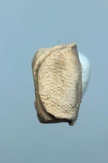 พระรอดลำพูนสวยๆค่ะเก่าค่ะ รูปที่ 5