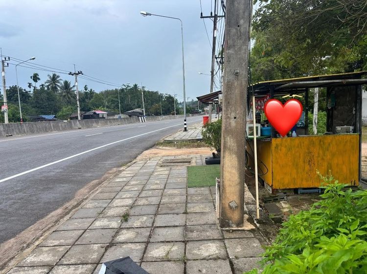 (ถูกมาก) ที่ดินบ้านนาสาร ติดถนน 4 เลน เหมาะแก่การเปิดร้านค้า หรือทำธุรกิจ รูปที่ 4