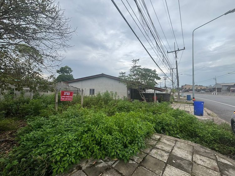 (ถูกมาก) ที่ดินบ้านนาสาร ติดถนน 4 เลน เหมาะแก่การเปิดร้านค้า หรือทำธุรกิจ