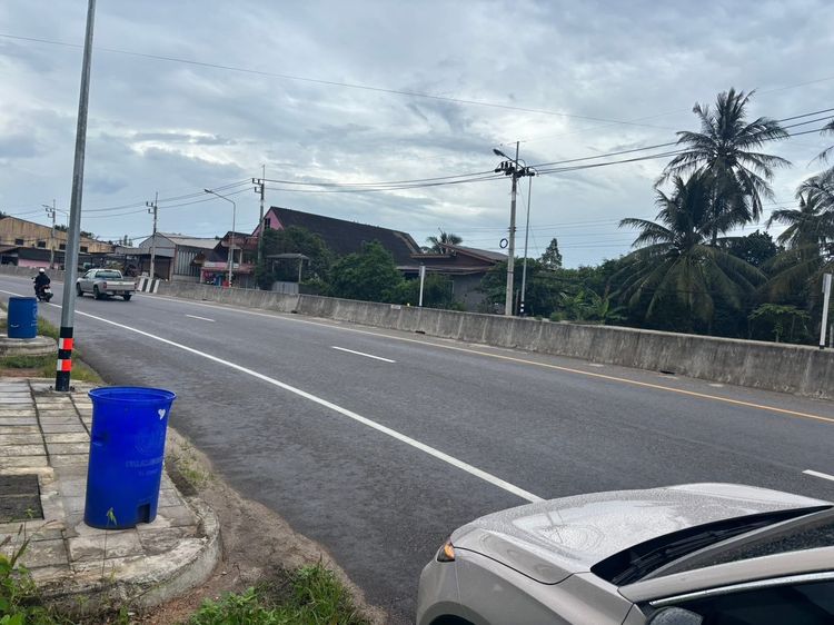 (ถูกมาก) ที่ดินบ้านนาสาร ติดถนน 4 เลน เหมาะแก่การเปิดร้านค้า หรือทำธุรกิจ รูปที่ 3