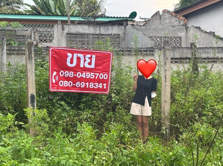 (ถูกมาก) ที่ดินบ้านนาสาร ติดถนน 4 เลน เหมาะแก่การเปิดร้านค้า หรือทำธุรกิจ รูปที่ 2