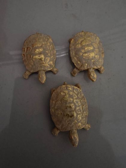 เต่าหลวงปู่ หลิว สวยหายากเหมาๆ 3 ตัวสุดท้าย รุ่นเก่าเดิมๆ ของที่บ้าน ขายตามสภาพ พร้อมส่งครับพี่ๆ