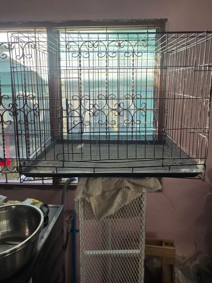 ส่งต่อกรงมือสอง
 รูปที่ 3