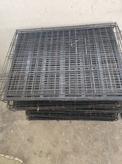 ส่งต่อกรงมือสอง
 รูปที่ 5