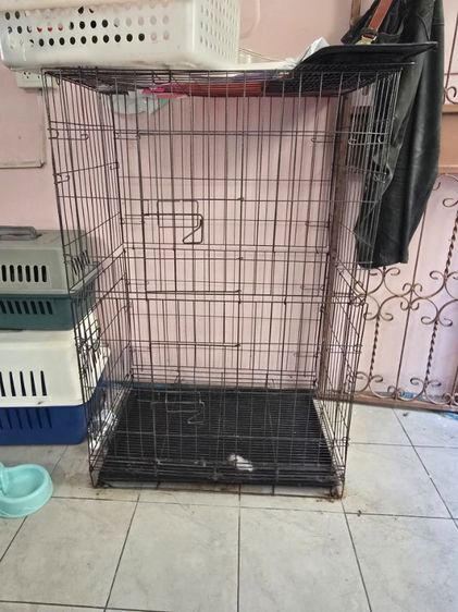 ส่งต่อกรงมือสอง
 รูปที่ 2