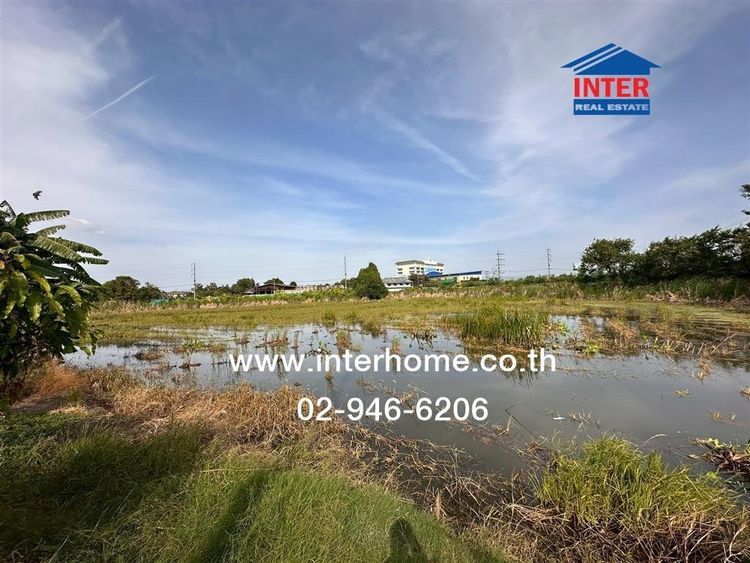 ที่ดินเปล่า 7 ไร่ 161 ตร.ว. ที่ดิน ถนน345 ใกล้สำนักงานเทศบาลเมืองบางคูวัด ถนนสะพานนนทบุรี-บางบัวทอง ถนน345 เมืองปทุมธานี ปทุมธานี รูปที่ 2