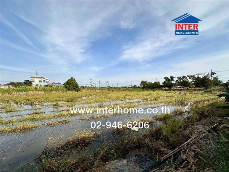 ที่ดินเปล่า 7 ไร่ 161 ตร.ว. ที่ดิน ถนน345 ใกล้สำนักงานเทศบาลเมืองบางคูวัด ถนนสะพานนนทบุรี-บางบัวทอง ถนน345 เมืองปทุมธานี ปทุมธานี รูปที่ 4