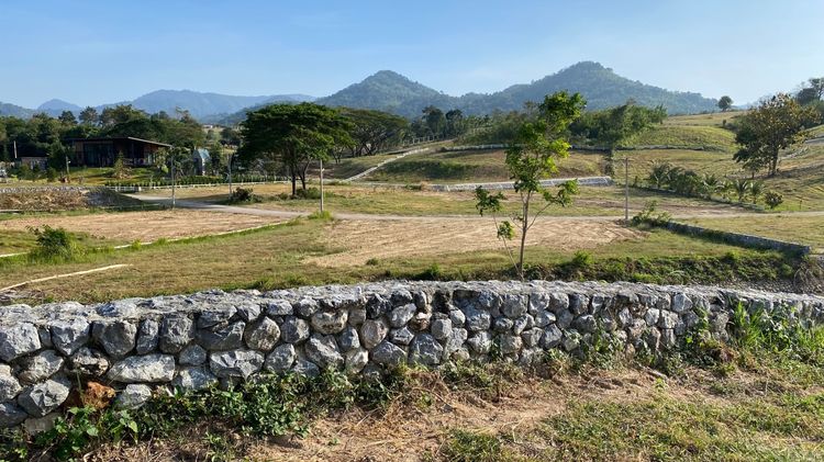 ที่ดินสำหรับสร้างบ้านอาศัย ปากช่อง เขาใหญ่ 300ตรว-2ไร่ ที่ดินบนเนิน ติดน้ำ วิวเขาใหญา