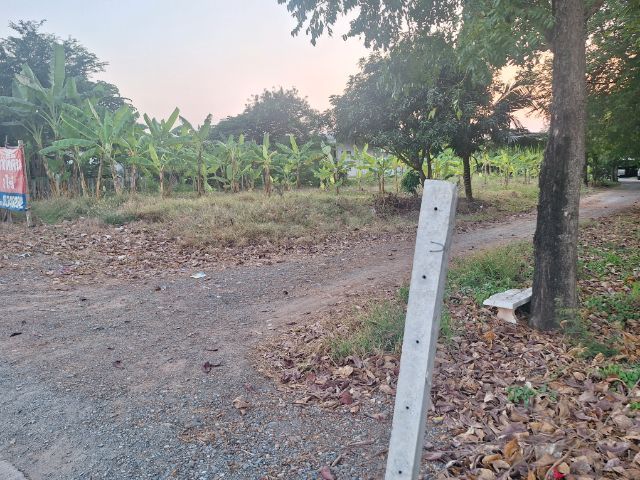 ใช่ ขายที่ดินสวยน้ำไม่ท่วม รูปที่ 4