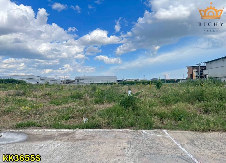 ที่ดินสวย 4 ไร่เศษ สีม่วงขอใบ รง.4 ง่าย+ขายต่อสะดวก เด่นสง่าหน้ากว้าง ถมแล้วพร้อมใช้ ในสวนหลวง ใกล้สาย 4 ตัดใหม่ กระทุ่มแบน- KK3655S รูปที่ 3