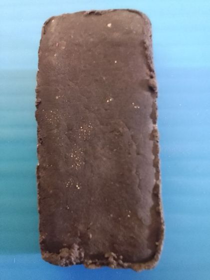 พระนางตรา 100 ปี ท่าศาลา 2541 รูปที่ 2