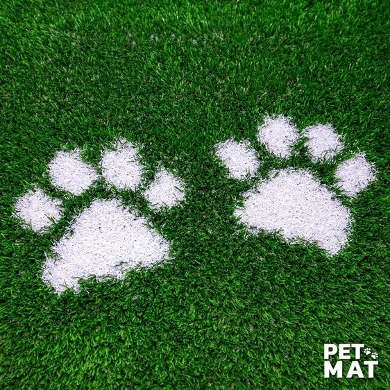 Pet mat พรมอเนกประสงค์สำหรับสัตว์เลี้ยง รูปที่ 4