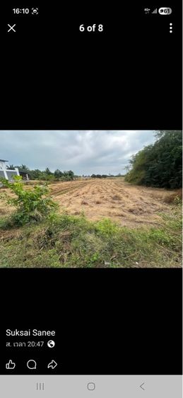 ที่ดินเปล่า