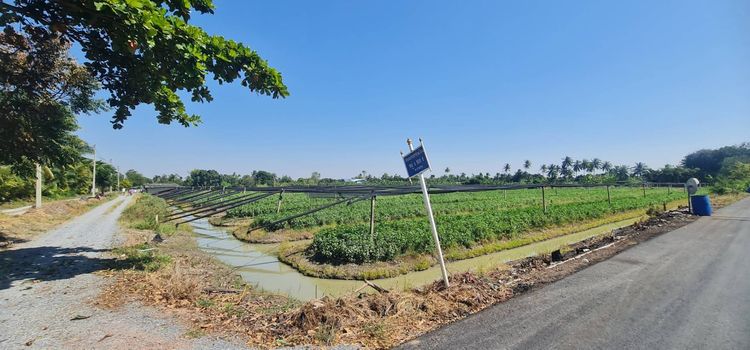 21 ไร่ ติดถนน-ติดคลอง ทำเลทอง กระทุ่มแบน ศักยภาพพุ่ง ใกล้แม่น้ำท่าจีน เริ่มต้นเพียง 1.7 ล.ไร่ โอกาสสุดท้ายก่อนราคาพุ่ง โทรเลย รูปที่ 4