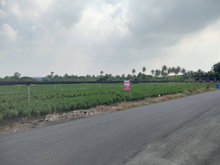 21 ไร่ ติดถนน-ติดคลอง ทำเลทอง กระทุ่มแบน ศักยภาพพุ่ง ใกล้แม่น้ำท่าจีน เริ่มต้นเพียง 1.7 ล.ไร่ โอกาสสุดท้ายก่อนราคาพุ่ง โทรเลย รูปที่ 2