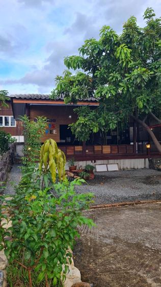 บ้านพร้อมที่ดิน รูปที่ 3
