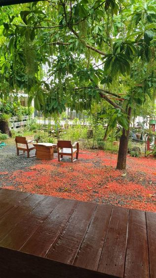 บ้านพร้อมที่ดิน รูปที่ 2