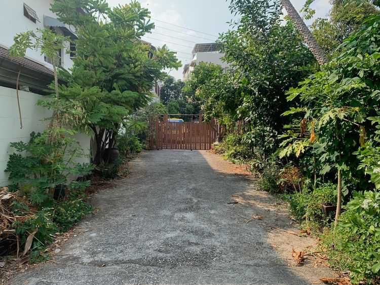 ที่ดิน ลาดพร้าว18 เนื้อที่ 71 ตร.วา เขตจตุจักร แขวงจอมพล กรุงเทพมหานคร รูปที่ 3