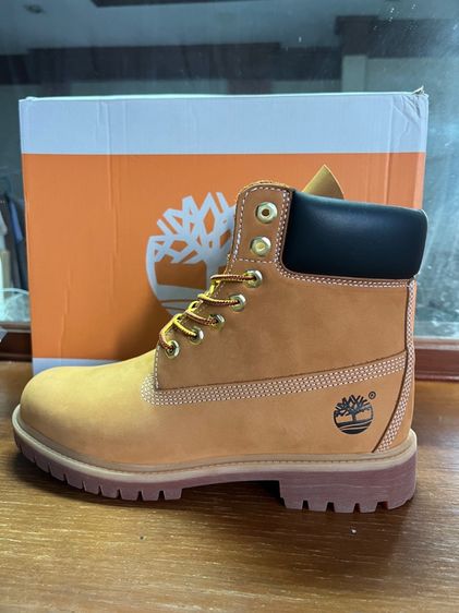 Timberland  รูปที่ 5