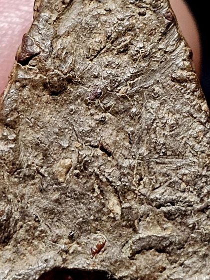 พระนางพญา รูปที่ 5