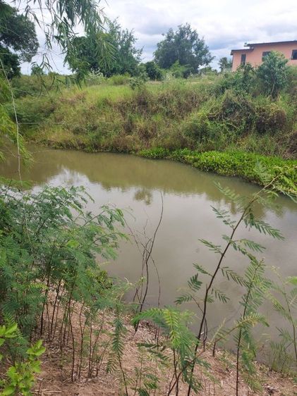 ขายที่ดินมแล้ววิวสวย